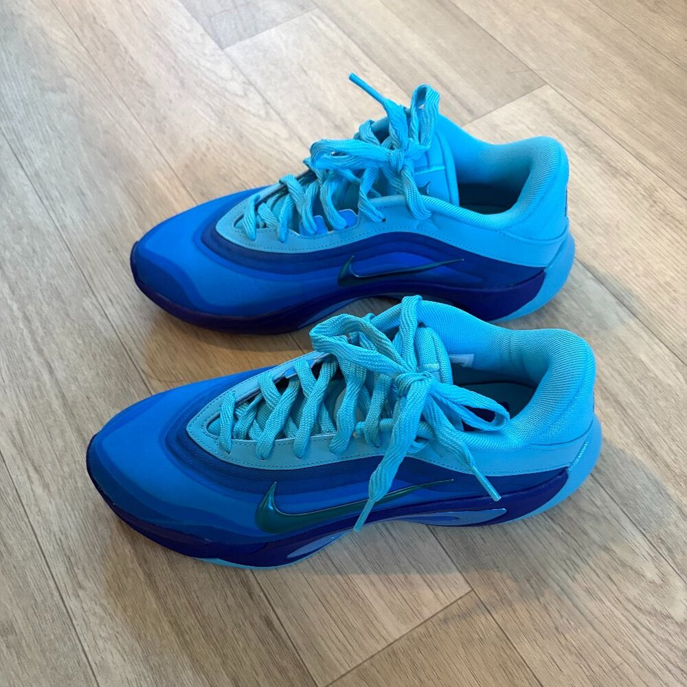 A'ja Wilson A1 Nike Indigo Girl Basketball Shoes